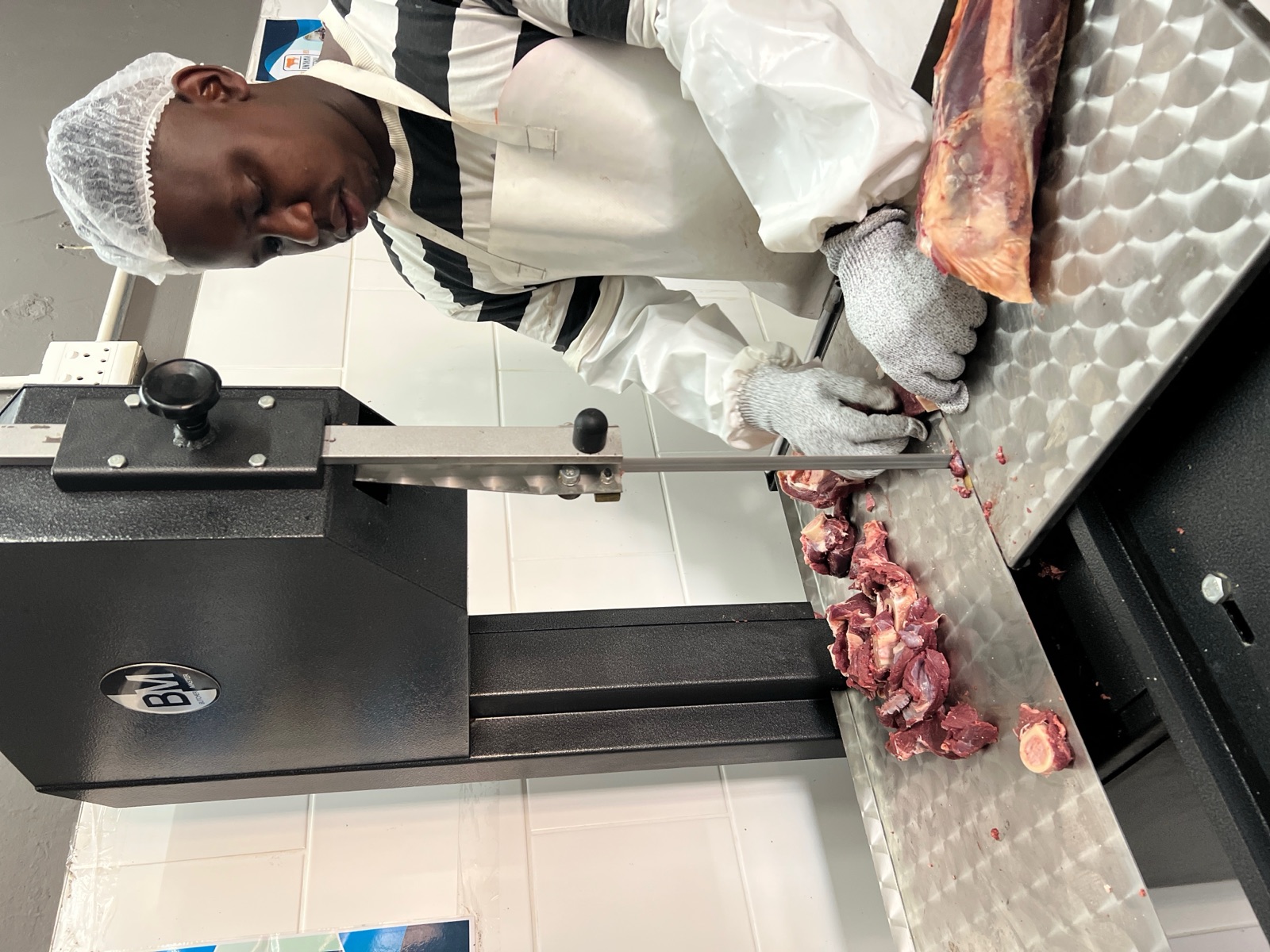 Commercial Meat Sawing