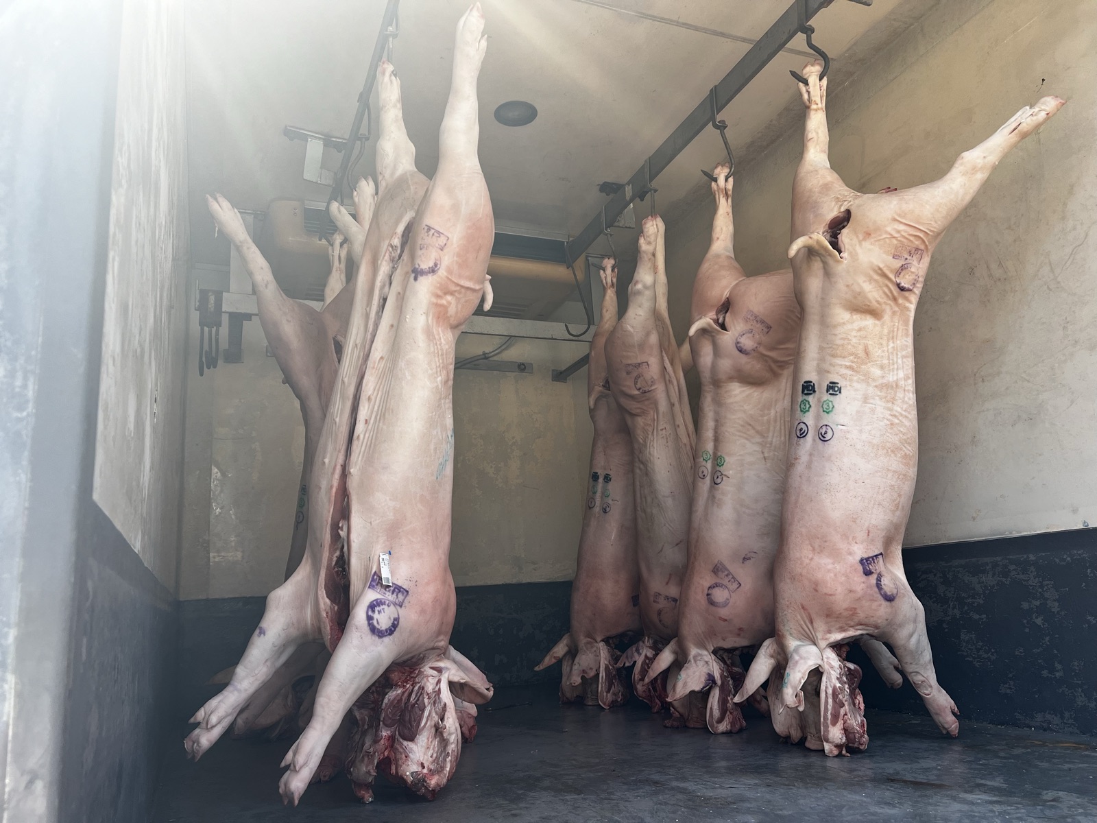 Meat Processing Facility
