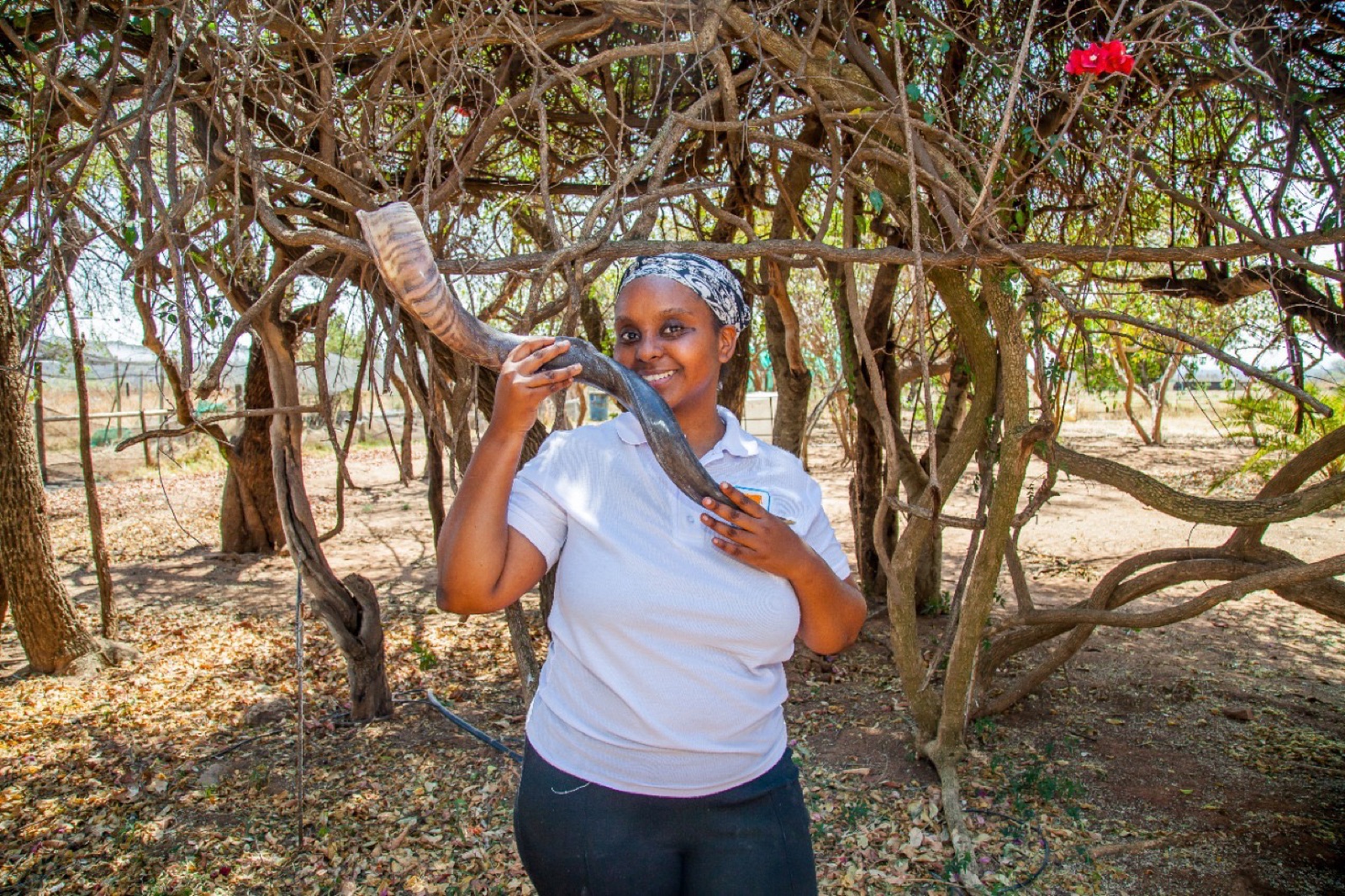 Traditional Shofar Crafts